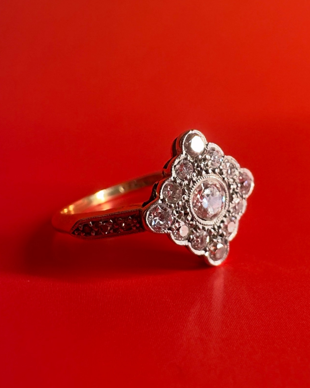 engagement / courtship